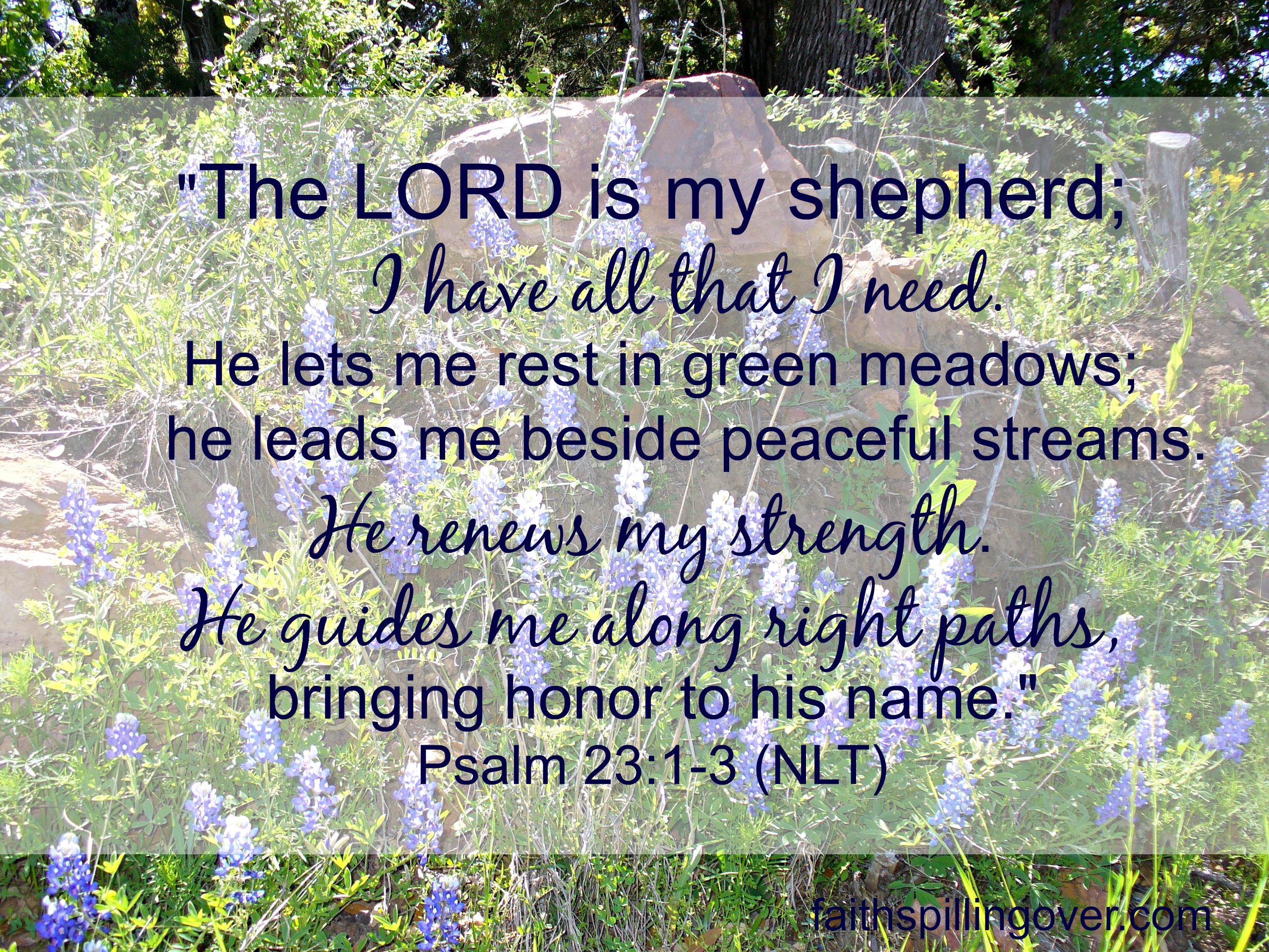 The Lord is My Shepherd whole text