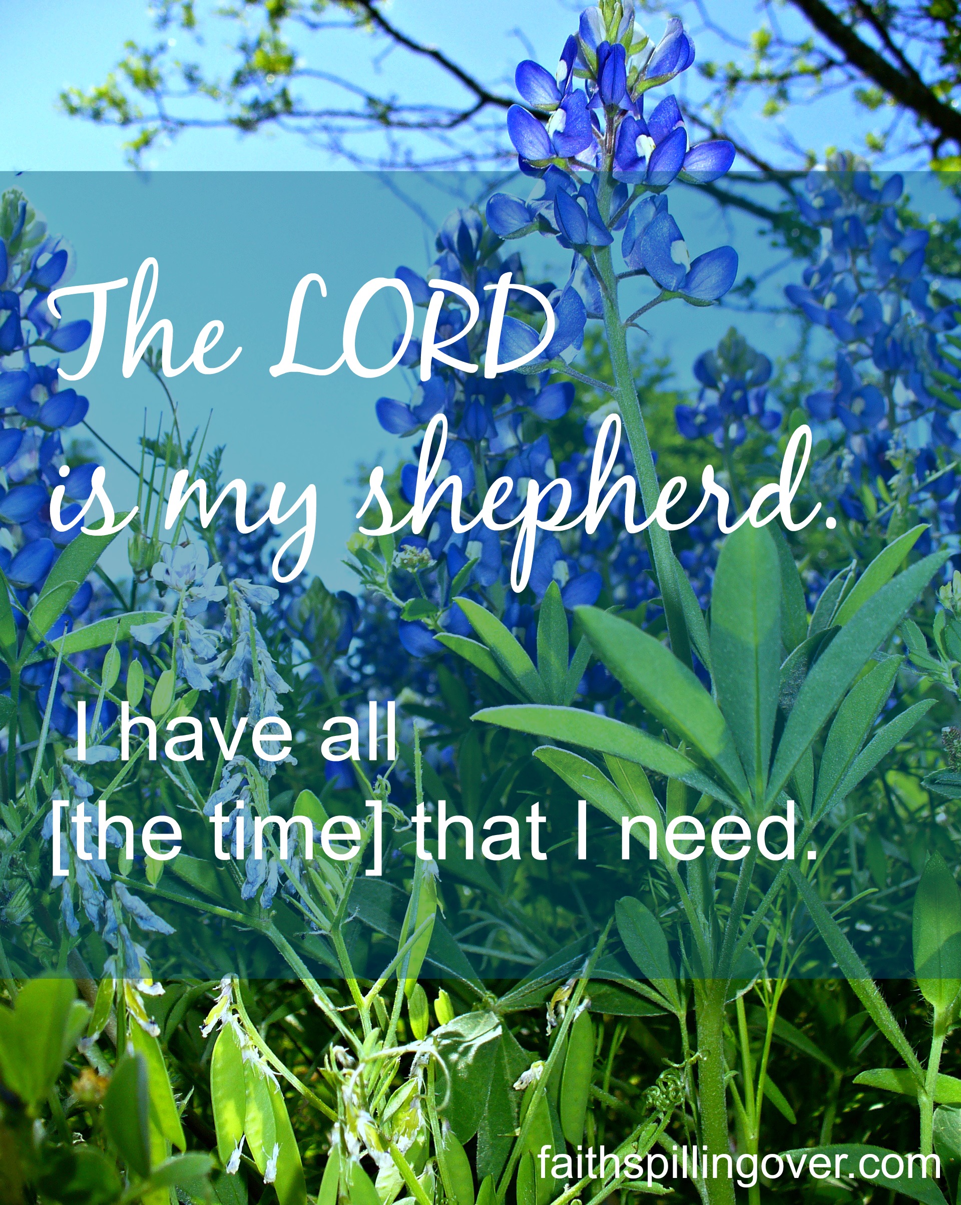 The Lord is My Shepherd