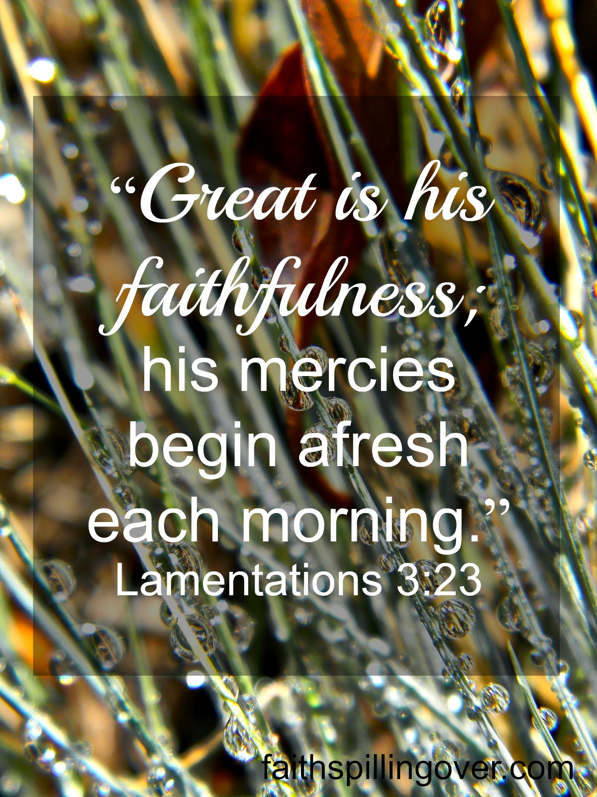 Great is His faithfulness