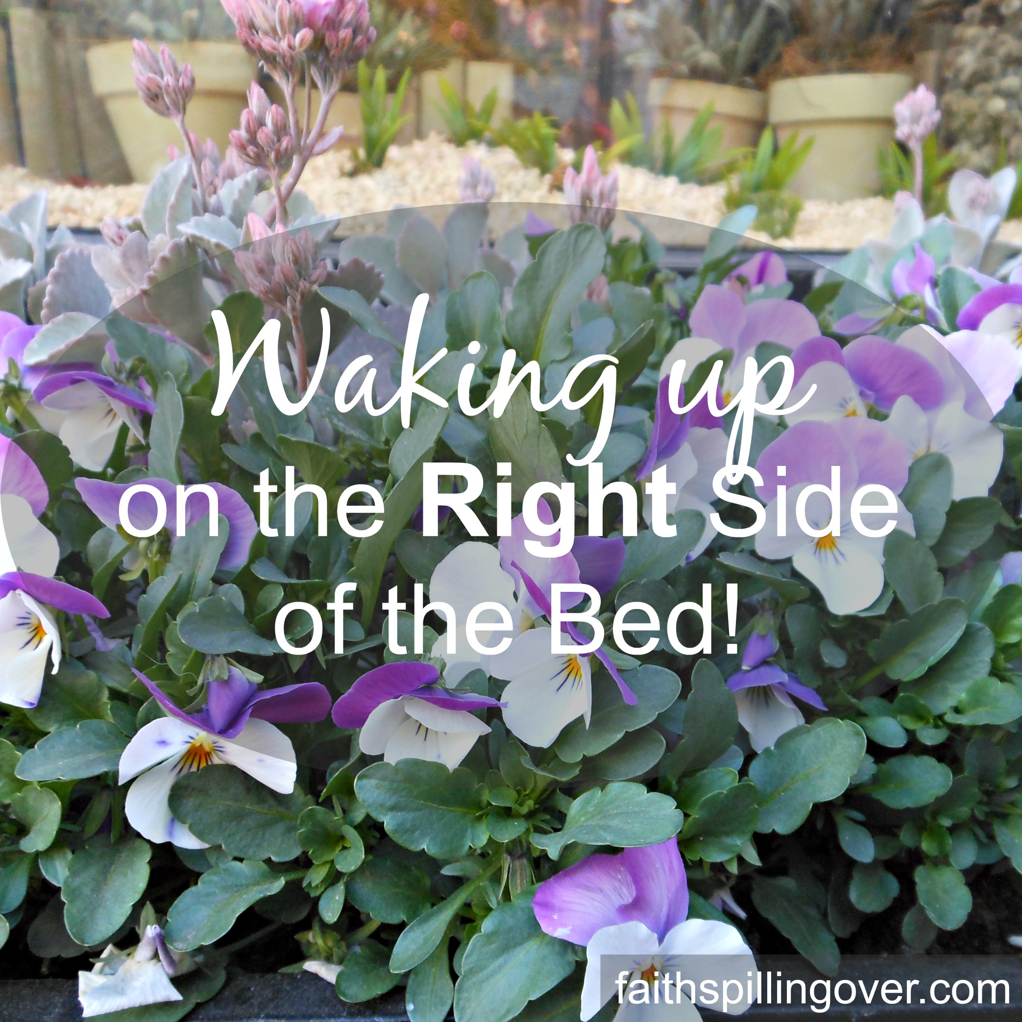 Waking Up on the Right Side of the Bed!