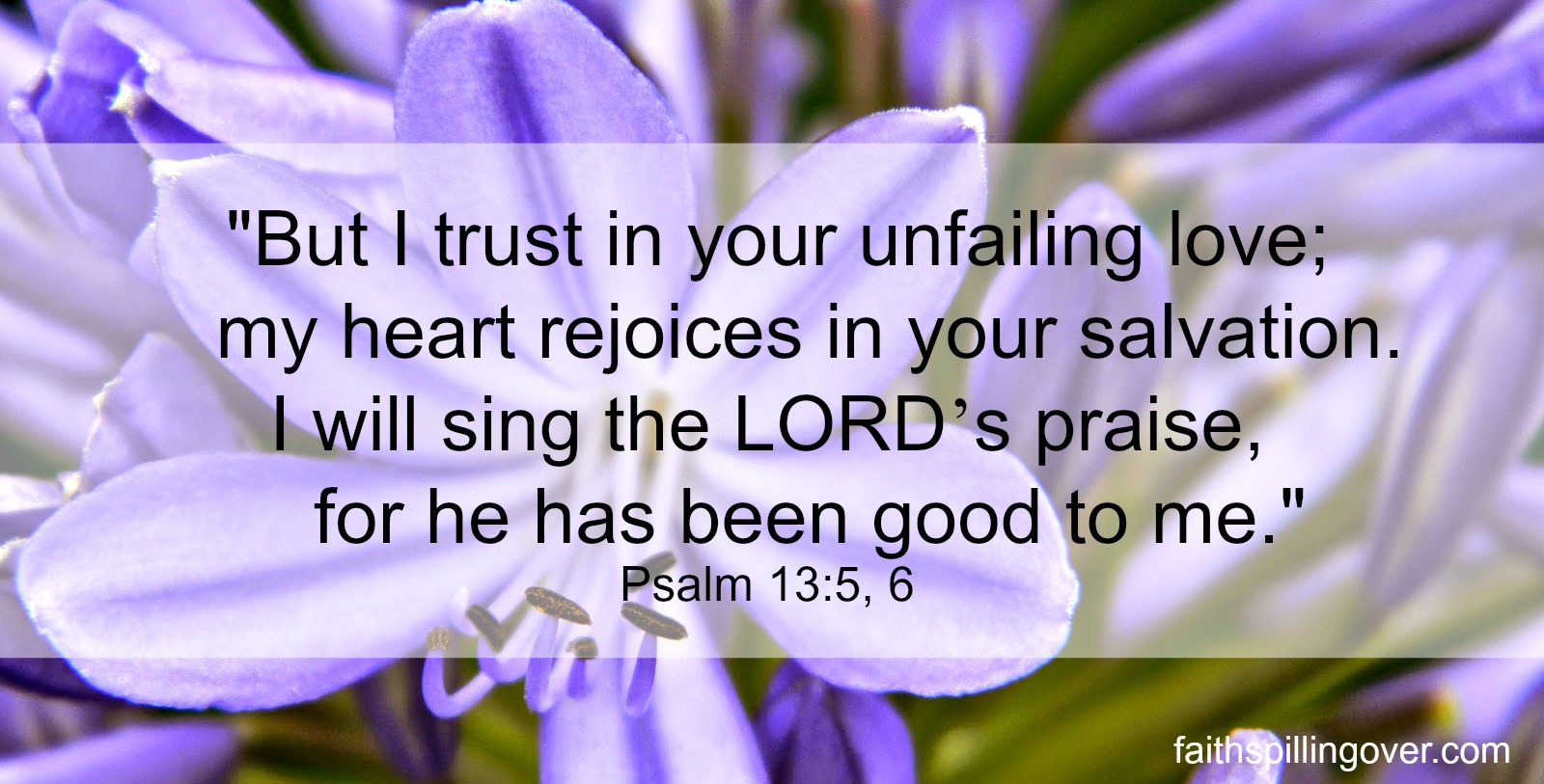 Psalm 13 5