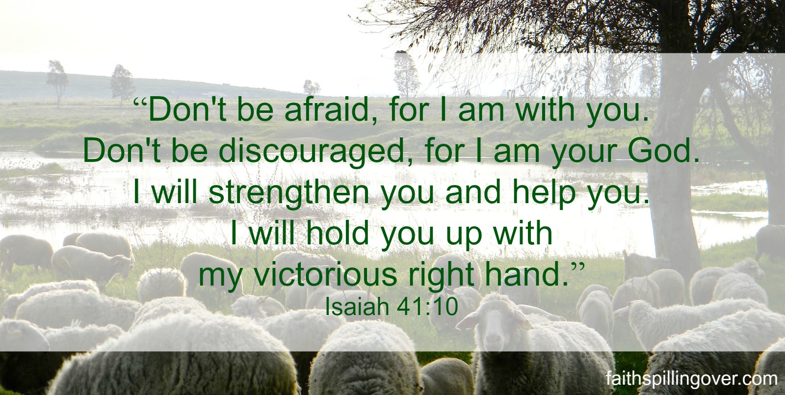 FMF do not be afraid Isaiah 41