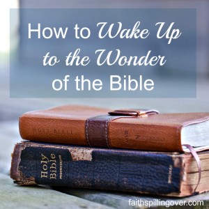 wake up to wonder 2