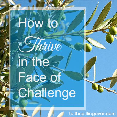 how to thrive in the midst of challenge