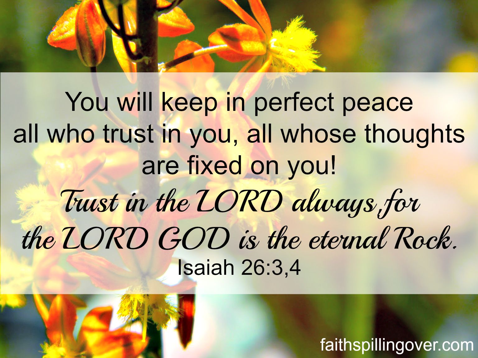 You will keep in perfect peace