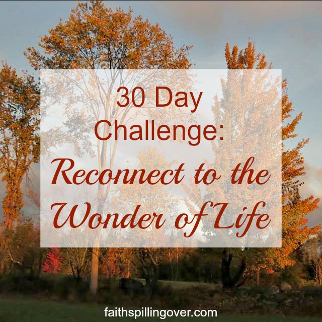 30 day challenge reconnect to the wonder of life