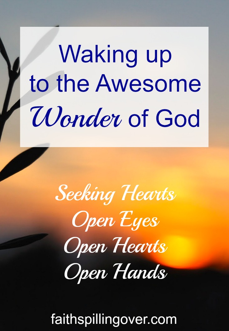 Rather than settling for a ho-hum life, I want to choose the wonder track this year. 4 Ways to live alive to the WONDER of God.