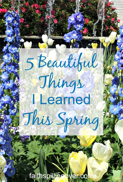 Each day is a 24 hour gift from God, with opportunities to learn and grow. I’m celebrating spring by sharing five things I’m learning make life happier.