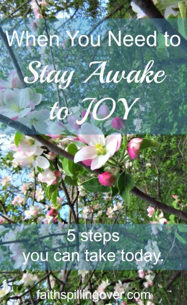 Sometimes we live life asleep to the joy God has for us, but His abundance is always within our reach. 5 steps you can take today to wake up to more joy.