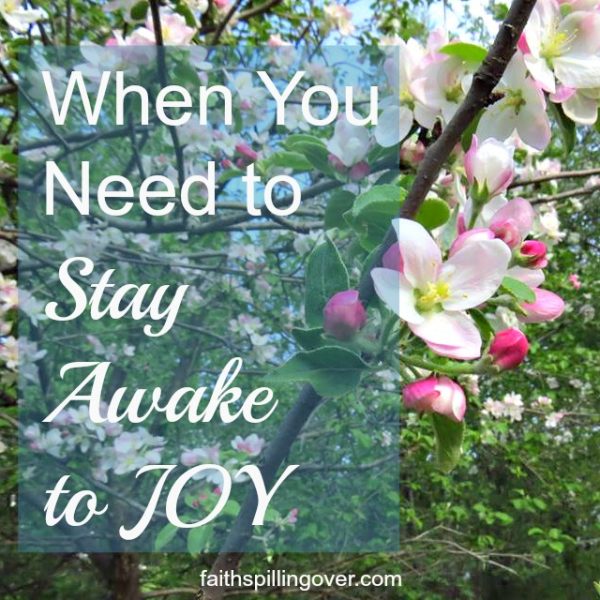 Sometimes we live life asleep to the joy God has for us, but His abundance is always within our reach. Here are 5 steps you can take today to wake up to more joy.