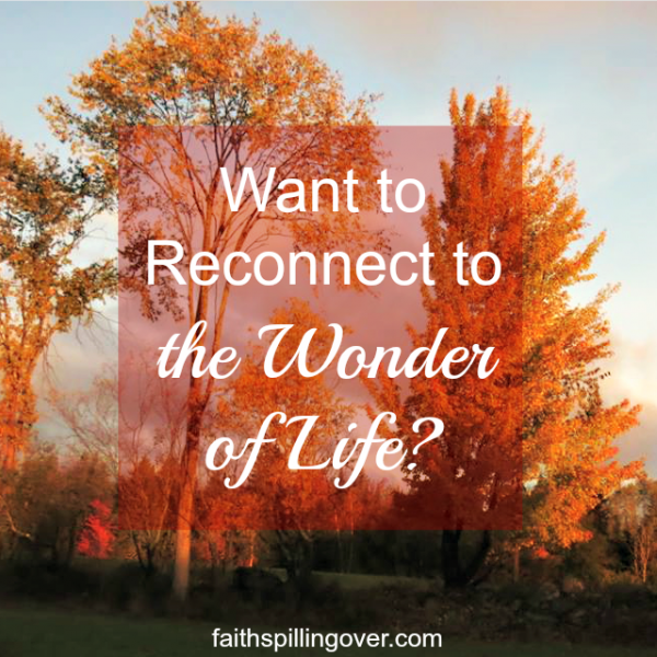 Let’s take a few moments every day to step away from the noise of life and remember the wonder of God and His gifts.