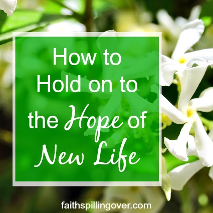 Even though God's people celebrate new life at Easter, maybe you're barely hanging on by a thread? 3 Things can help you hold on to hope in hard situations.