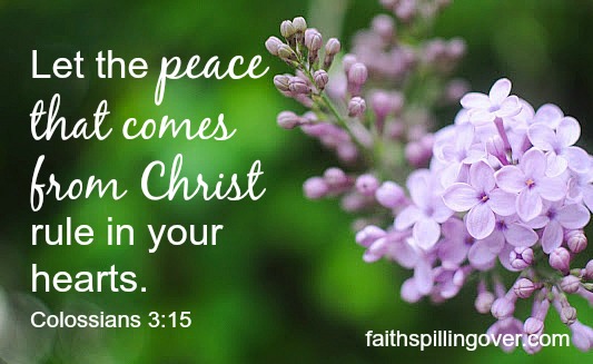 Has a complicated life stolen your peace? Try these 5 steps to simplify your spiritual life today so you can find renewed peace and calm in Christ. 