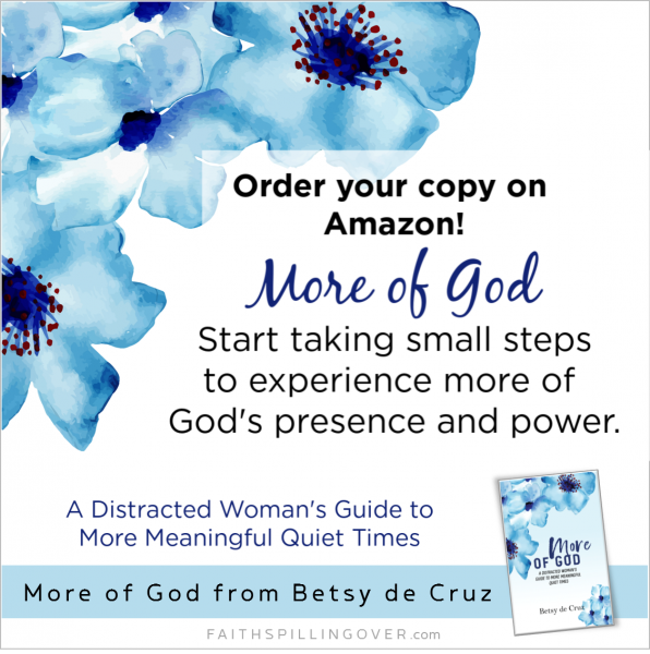 Need ideas on how to get more out of your quiet time? More of God will help you recover a fresh sense of God’s presence, learn to hear His voice, and grow your prayer life.