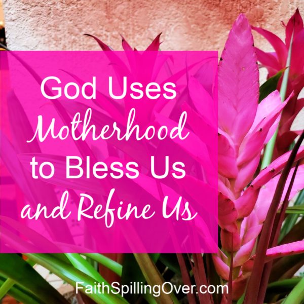 Does motherhood wear you out like it does me? This one surprising truth about motherhood will help you see glory and purpose, even on the hard days.