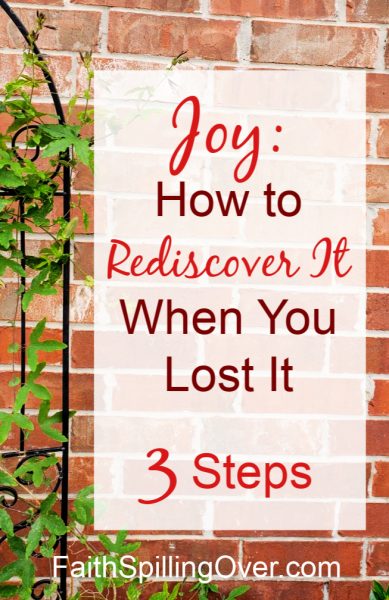 Feeling discouraged? How about a one-day experiment to rediscover joy? 3 steps show us how to find our #joy in God. #Hope is around the corner. #Howtofindjoy #rejoiceintheLord #gratitude