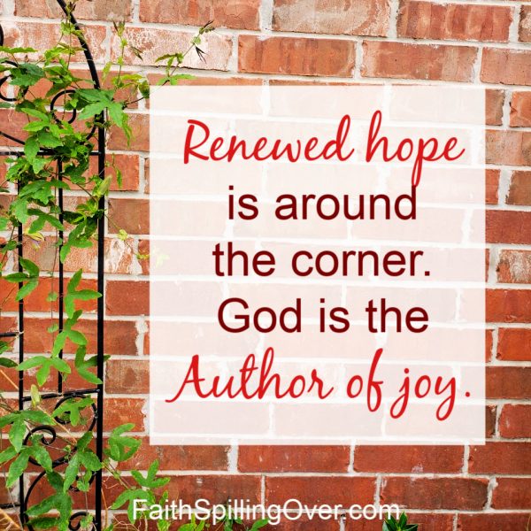 Feeling discouraged? How about a one-day experiment to rediscover joy? 3 steps show us how to find our #joy in God. #Hope is around the corner. #Howtofindjoy #rejoiceintheLord #gratitude #prayertips