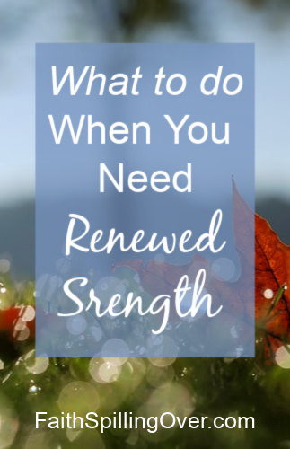 How do you find renewed strength when you need it? Here's encouragement on how God renews our spirits and tips for how to seek Him.