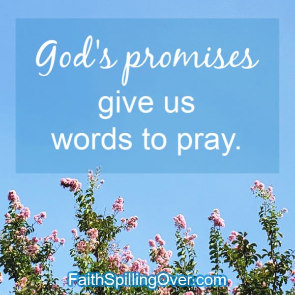 This list of God's greatest promises will encourage your faith today. You'll find a promise for your situation and a prayer to go along with it. #prayer #promises