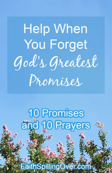 This list of God's greatest promises will encourage your faith today. You'll find a promise for your situation and a prayer to go along with it. #prayer #promises