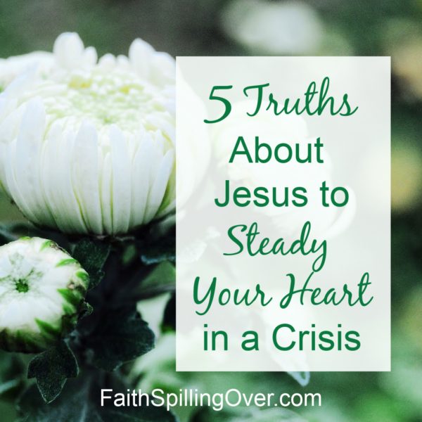 Jesus can steady your heart even when changes overwhelm you. 5 Truths will help you find peace and comfort in the steadfast love of our unchanging Savior.