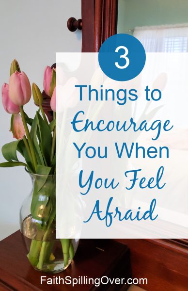 When you feel afraid, God’s touch will strengthen you. His Word will calm your fears. 3 truths from Scripture to help you find new #courage. #faith #faithoverfear #fear