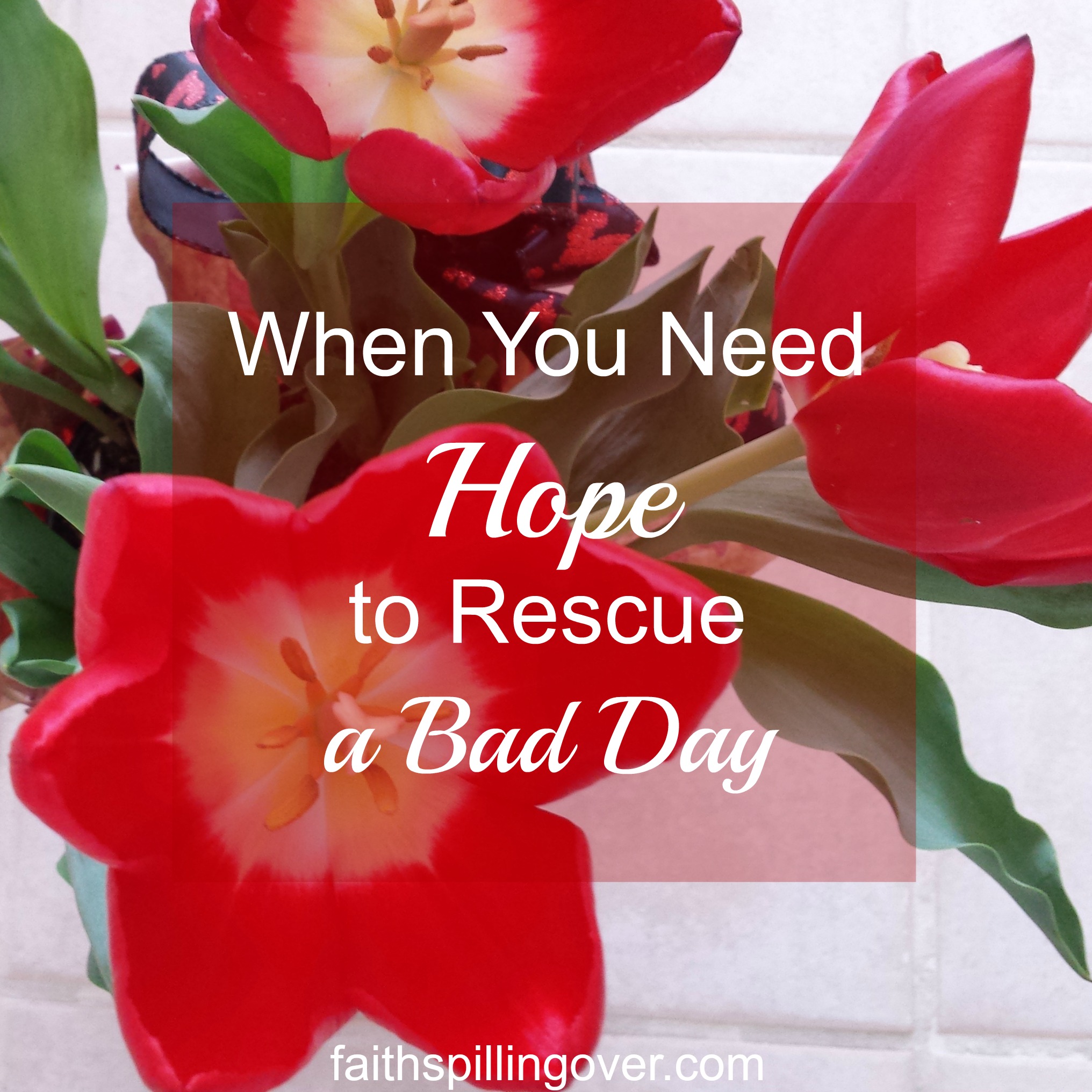 when-you-need-hope-to-rescue-a-bad-day-faith-spilling-over