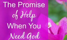 Friend, if you feel lonely, powerless, or unsure today, remember God's promise of Help. We are not alone. Here's what the Holy Spirit means for believers.