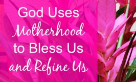 Does motherhood wear you out like it does me? This one surprising truth about motherhood will help you see glory and purpose, even on the hard days.