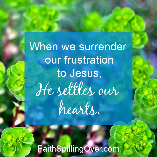 When frustration steals your peace, Jesus can renew your mind and settle your heart.  5 steps will help you feel peaceful and calm again. #renewal #growth #peace