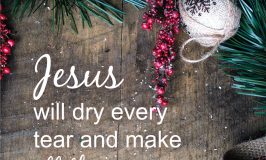 We could all use a promise of hope after the disappointments of 2020. A fresh look at a familiar #Advent Bible verse can renew our #hope today.